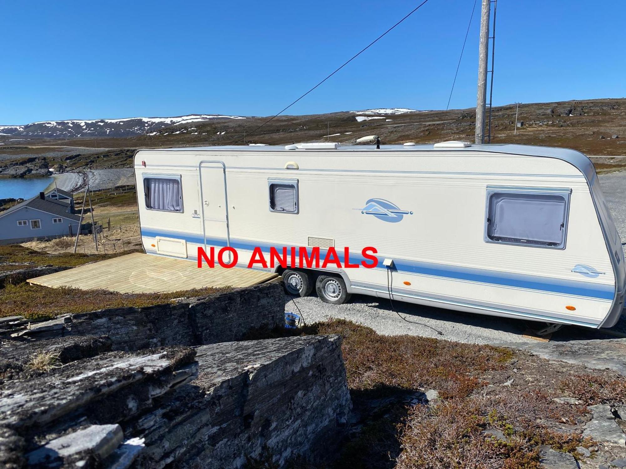 Repvag Overnatting Nordkapp Værelse billede
